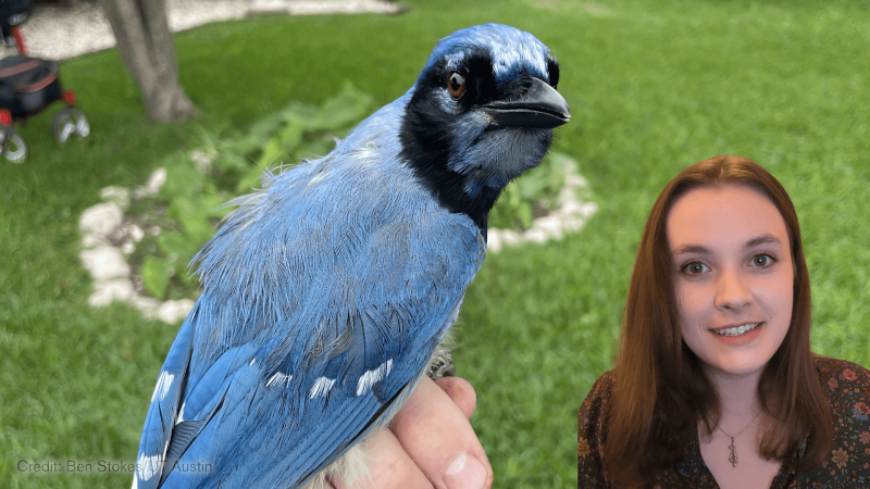 Educator Eva smiled next to a grue jay.