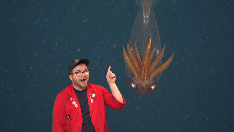 Educator Locke pointing at a glass squid while it swims