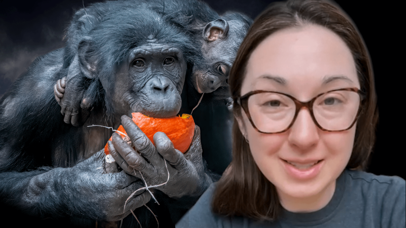 Alex Dainis in front of a gorilla eating a fruit
