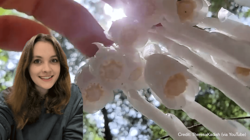 Educator Eva in front of Ghost Pipe mushrooms