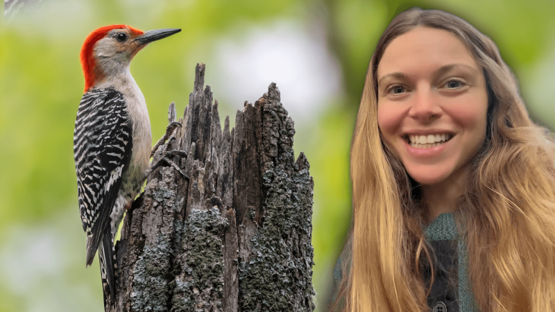 The Nature Educator in front of a woodpecker on a stump