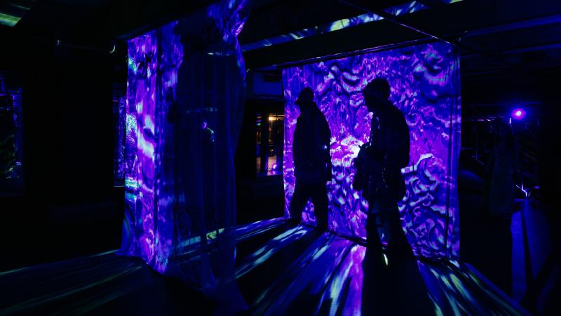Guest shadows cast on a wall of projected artwork.