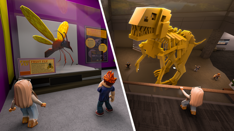 Split screen of Roblox characters looking at exhibits in the Museum of Science.