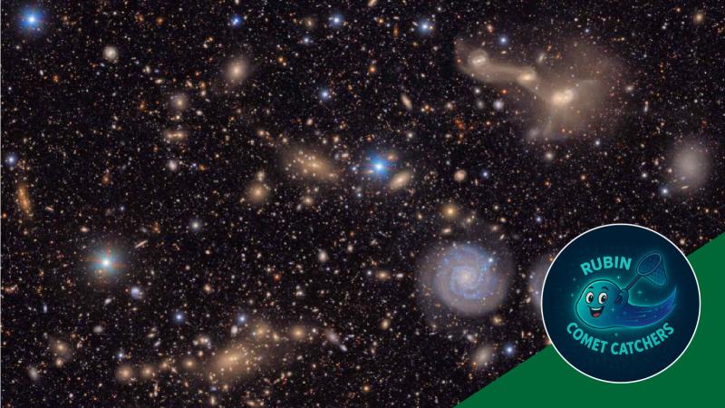 Rubin's Comet Catchers