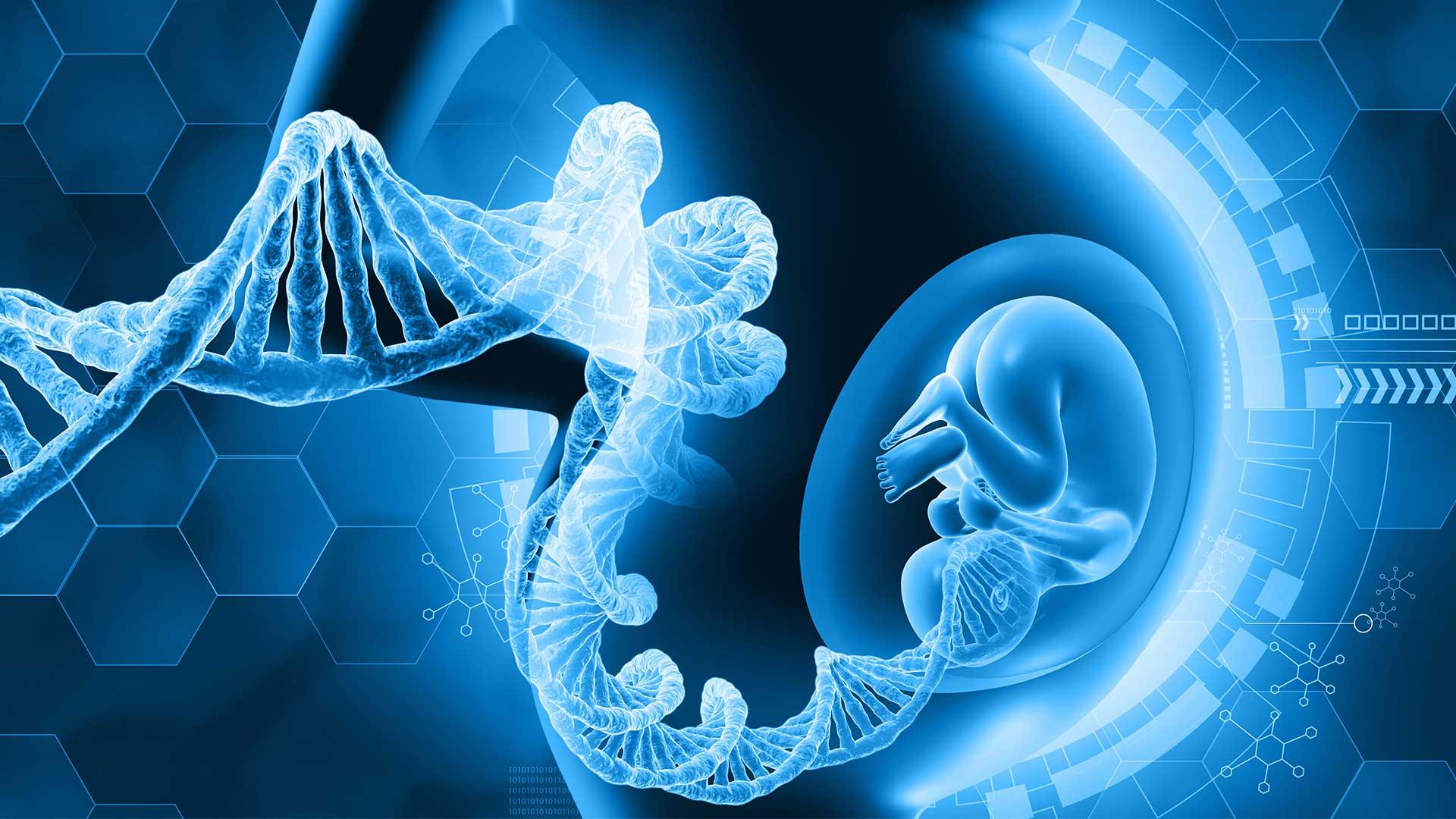An illustration of an embryo in a womb, with a DNA strand in front.