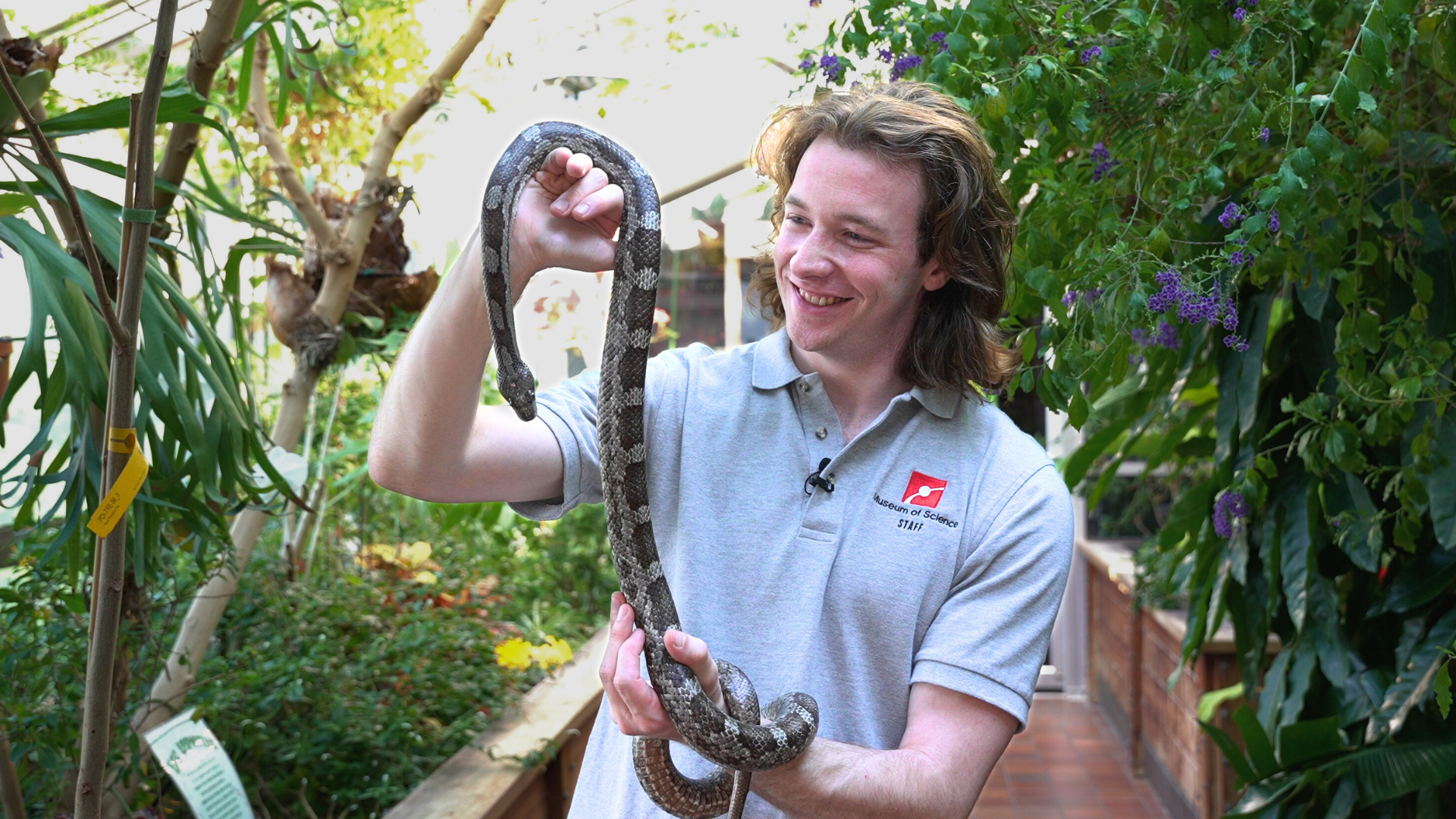 Live Animal Care Center Keeper Jason holding an Eastern Black Rat Snake