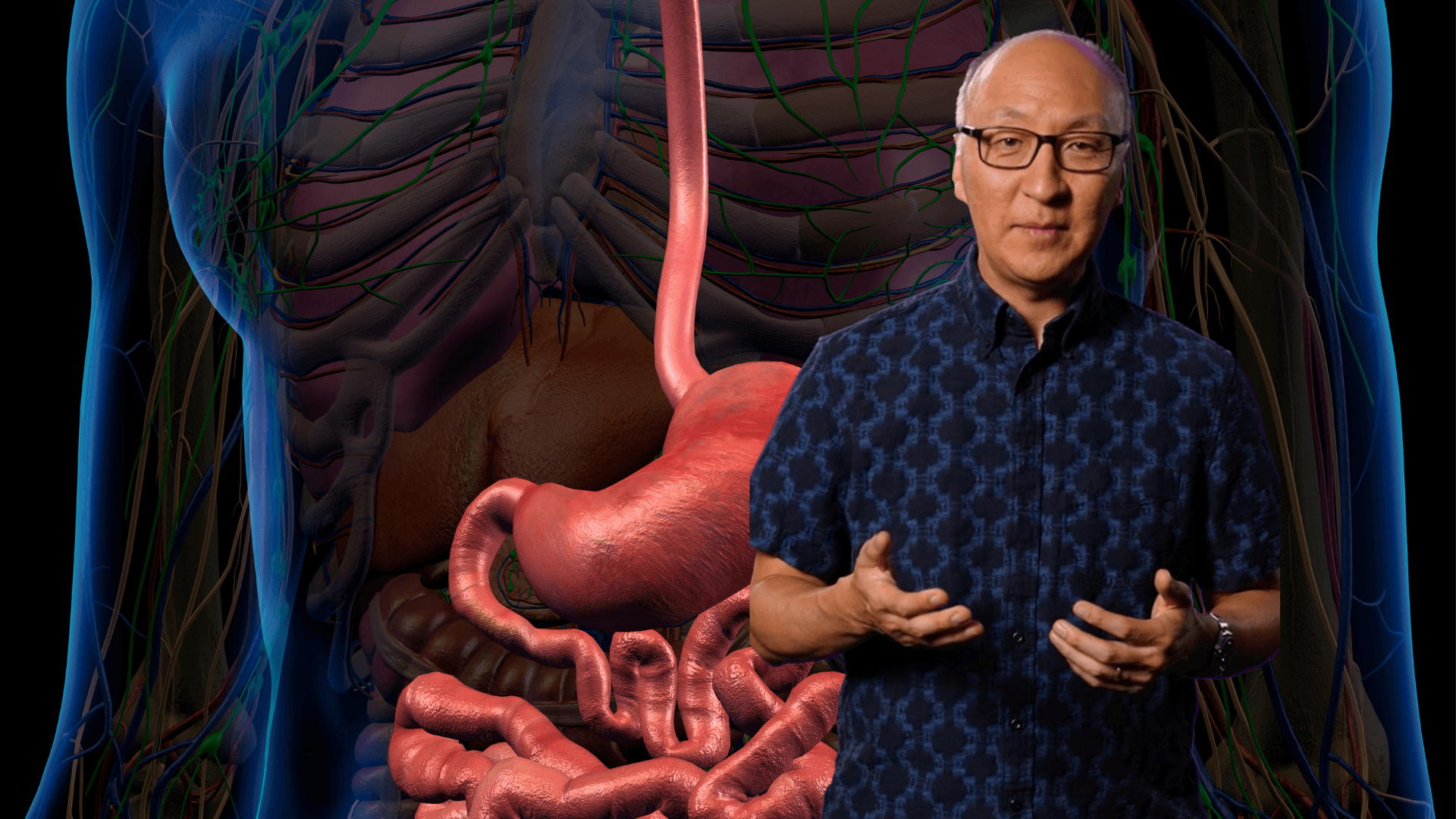 Insoo Hyun in front of an image of human organs in a body
