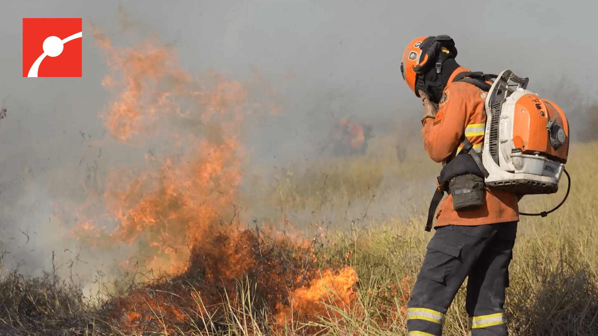 A firefighter and a fire in the Pantanal