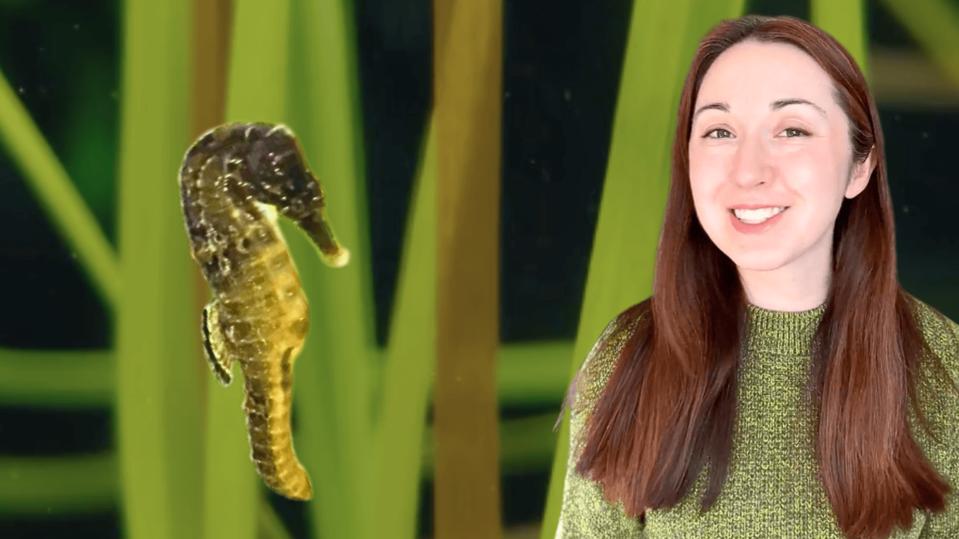 Alex Dainis in front of an image of seagrass with a seahorse