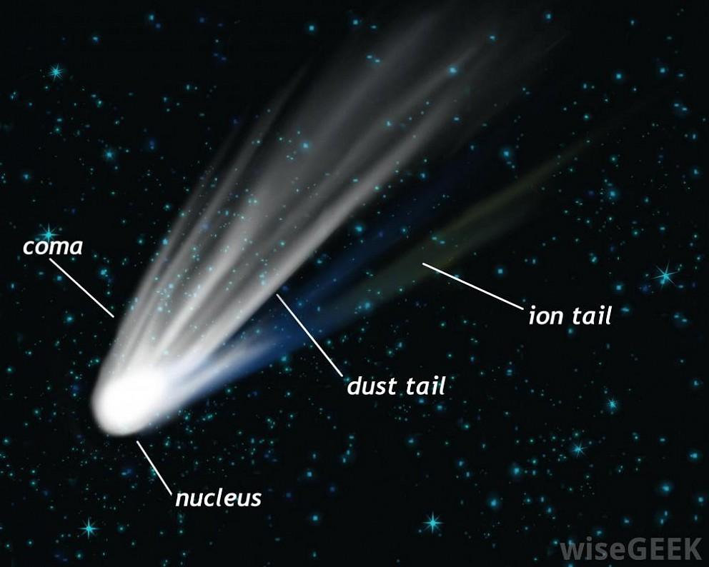 The parts of a typical comet.