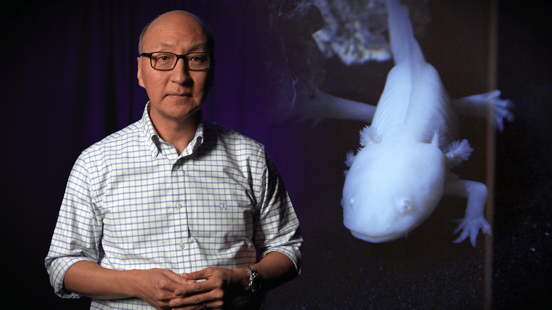 Insoo Hyun in front of an image of an axolotl