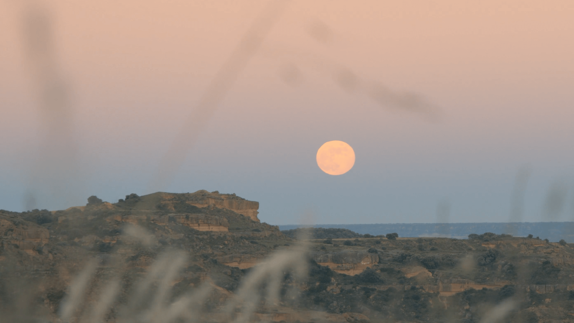 The Beaver Moon over an oceanside landscape