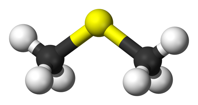 A model of the molecule dimethyl sulfide, which Webb found hints of in the atmosphere of the exoplanet K2-18b. Credit: Benjah-bmm27
