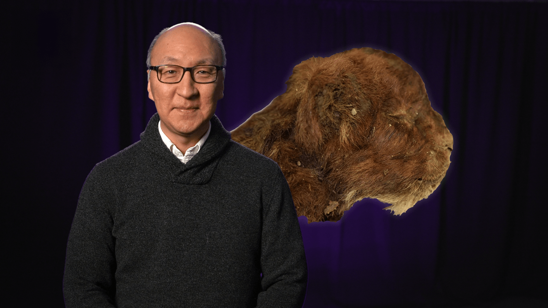 Insoo Hyun with an image of a mummified saber-tooth cub