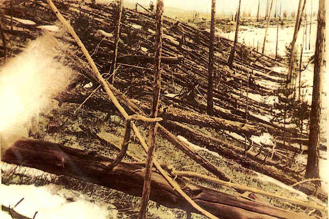Trees flattened by the Tunguska event. Credit: Leonid Kulik via Wikipedia Commons