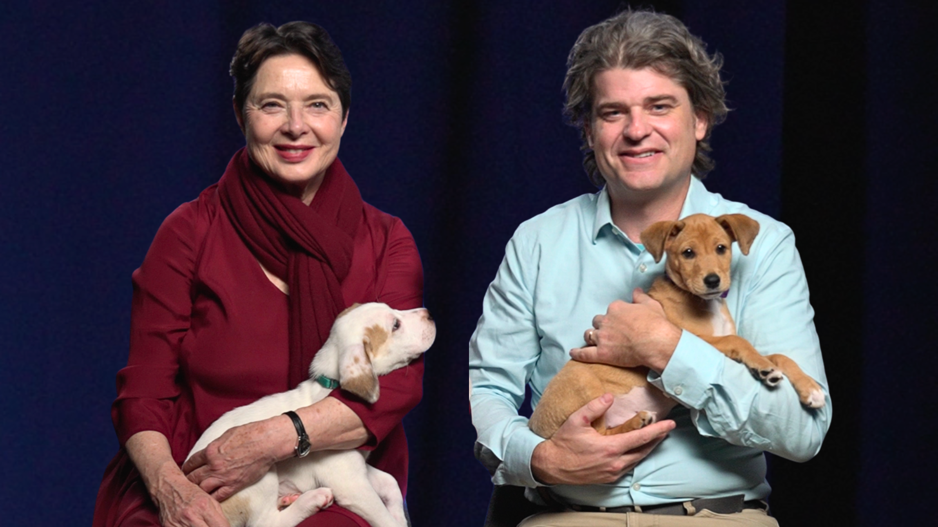 Isabella Rossellini and Brian Hare smile while holding puppies