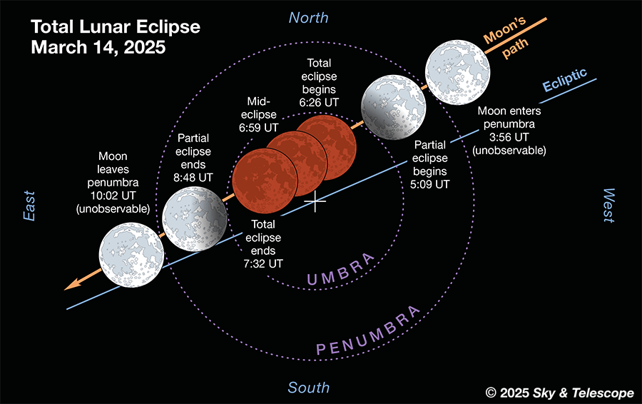 A diagram showing what the Moon will look like at different points in the eclipse. Credit: Leah Tiscione/Sky & Telescope