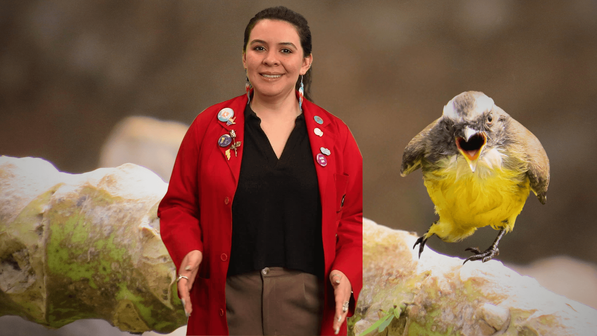 Educator Ana in front of a yellow warbler