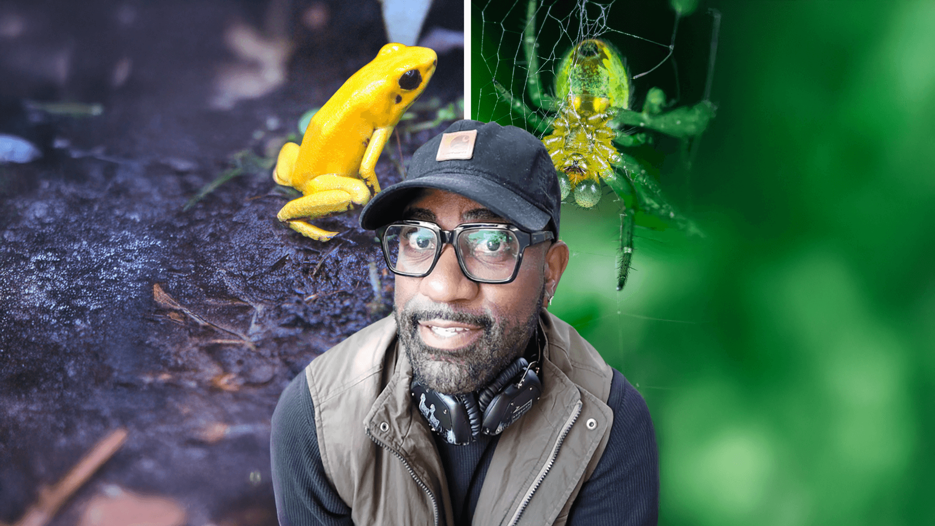 Maynard Okereke in front of a yellow frog and green spider