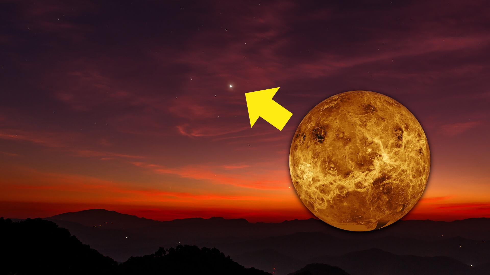 Venus in the foreground with a yellow arrow pointing to Venus shining in the night sky