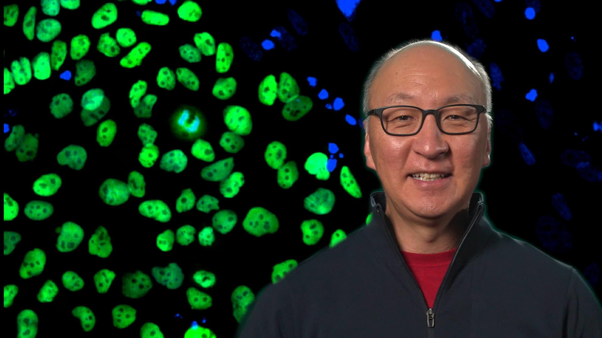 Insoo Hyun in front of glowing green and blue cells
