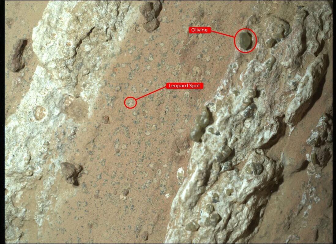 The “leopard spots” seen on the rock known as Chevaya Falls on Mars. Credit: NASA