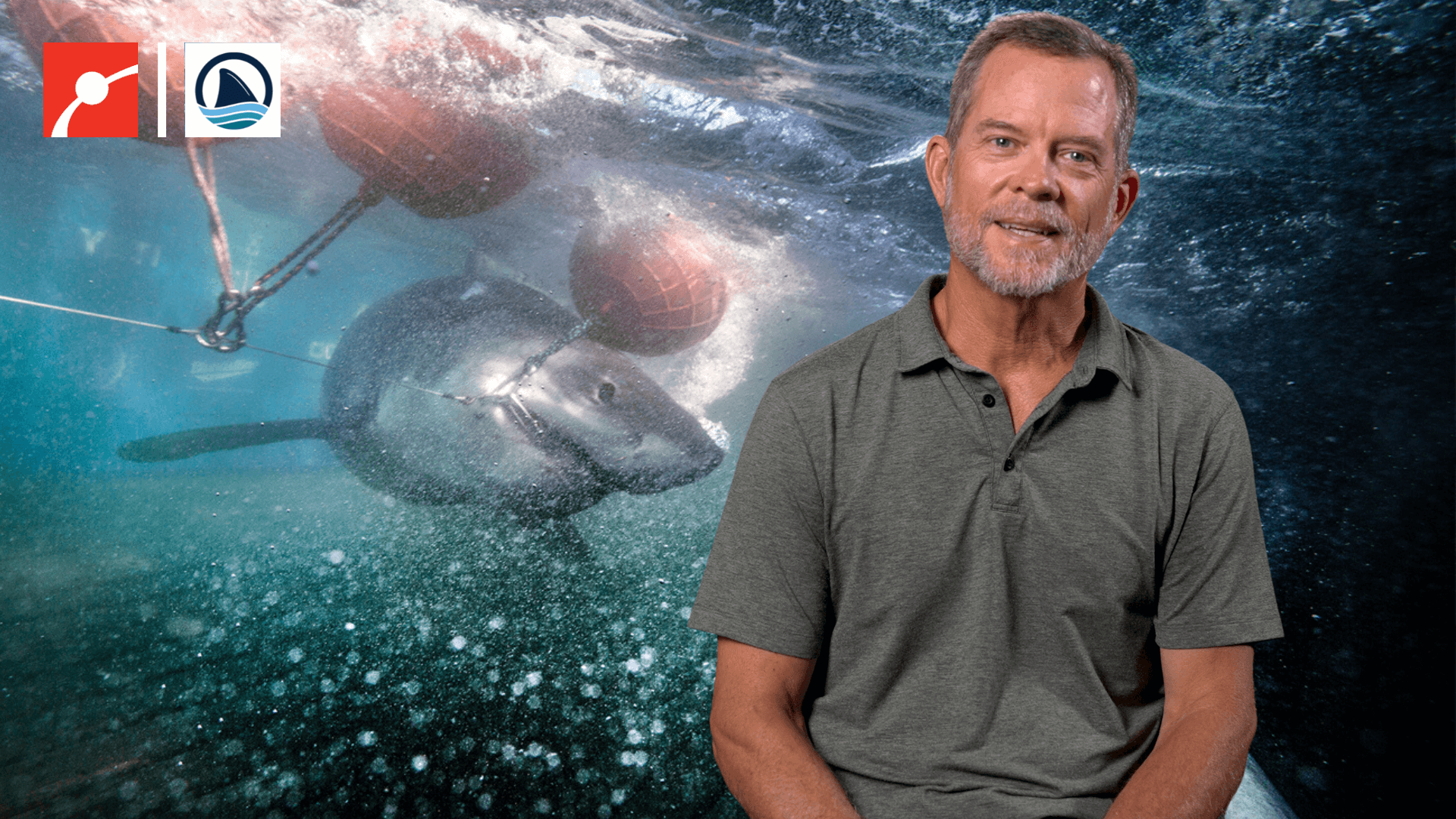 Chris Fischer in front of Mary Lee, a white shark