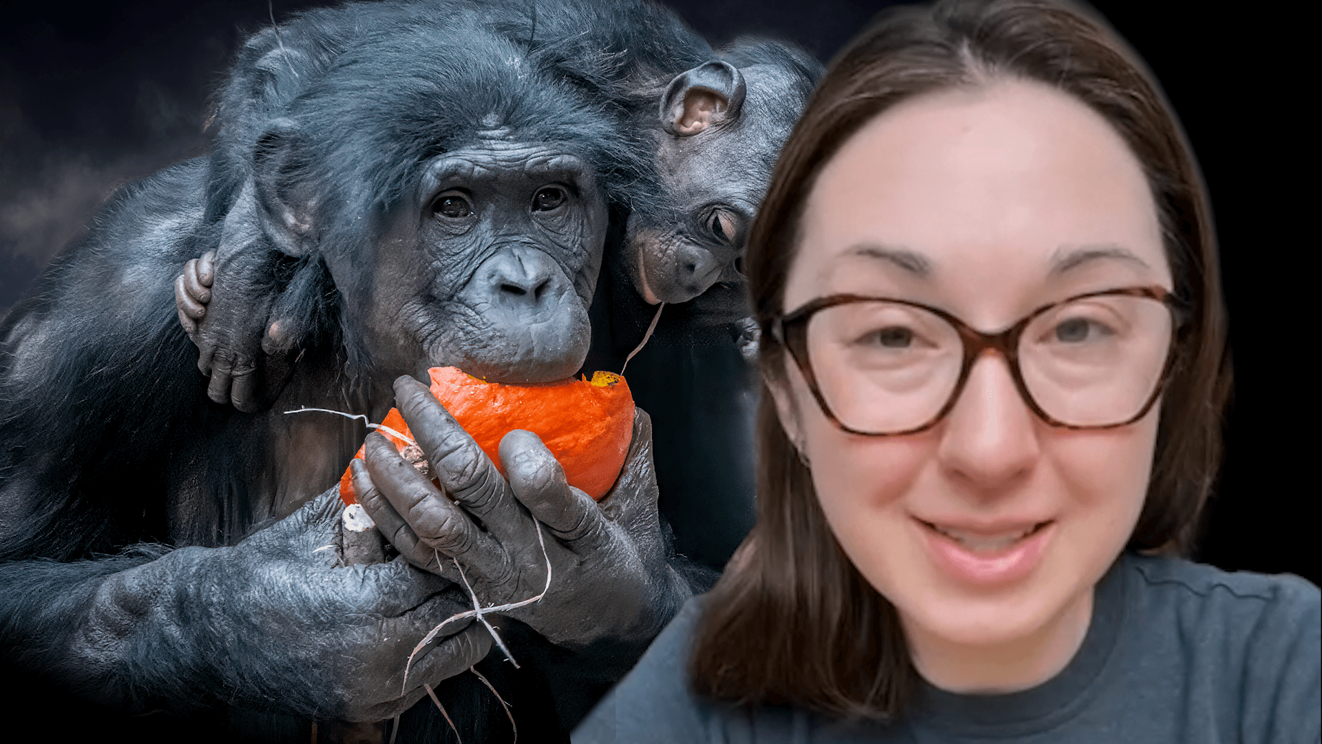 Alex Dainis in front of a gorilla eating a fruit