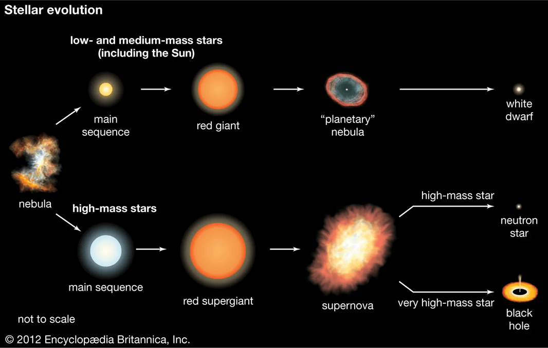 This graphic represents what we used to know about how stars die. Now it’s time for us to update our understanding. Credit: Encyclopaedia Brittanica Inc