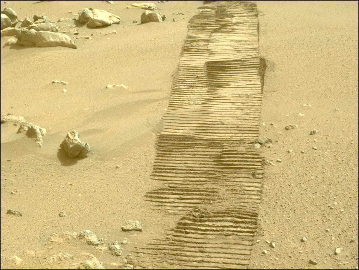 This image of rover tracks on Mars was taken by the Perseverance rover on March 4, 2026. Credit: NASA/JPL-Caltech