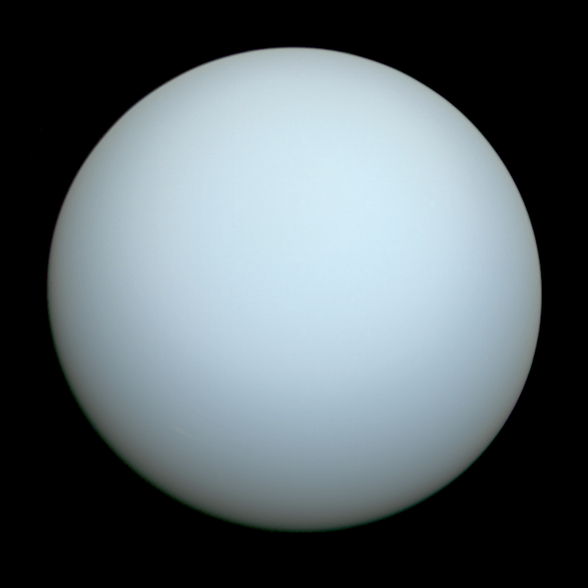Uranus as seen the only time a spacecraft has ever been near it, when Voyager 2 flew past in 1986. On that day it appeared notably featureless. Credit: NASA