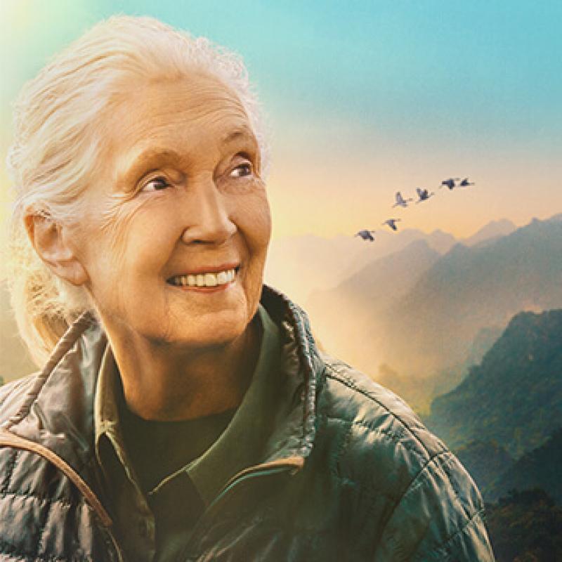 Jane Goodall in front of a background of mountains, with birds flying by.