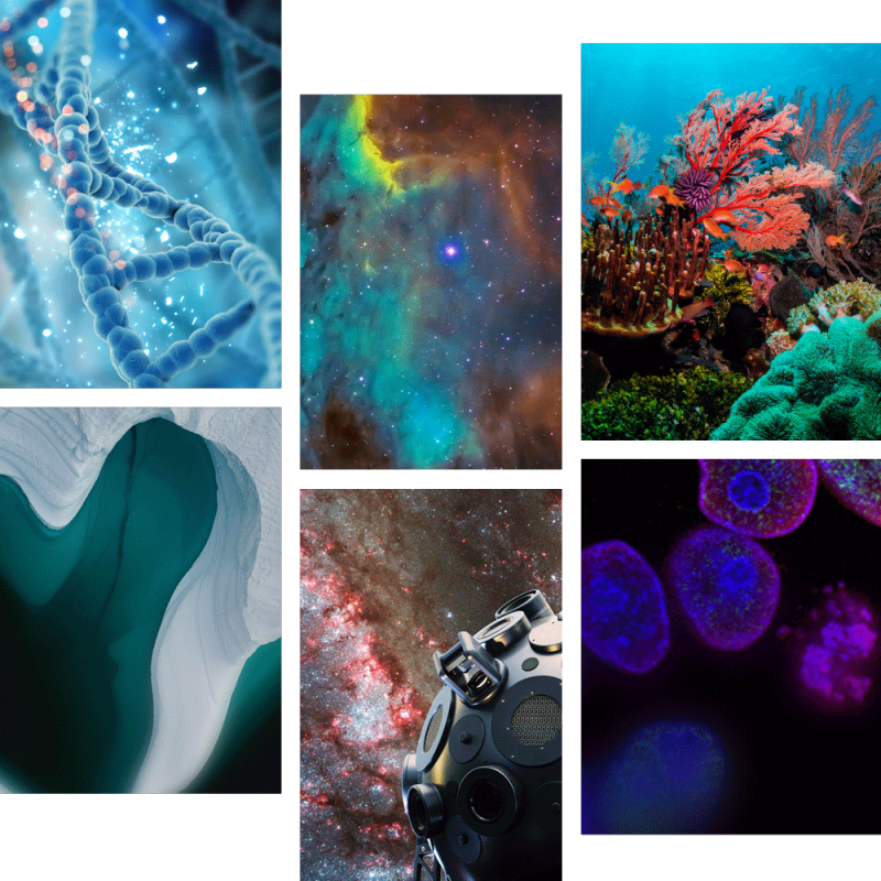 A collage of six images representing the various Centers for Public Science Learning.