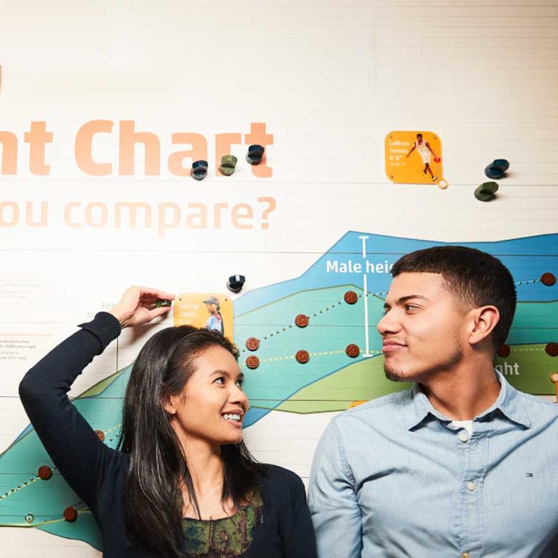 A young couple using the Height Chart in a museum exhibit.