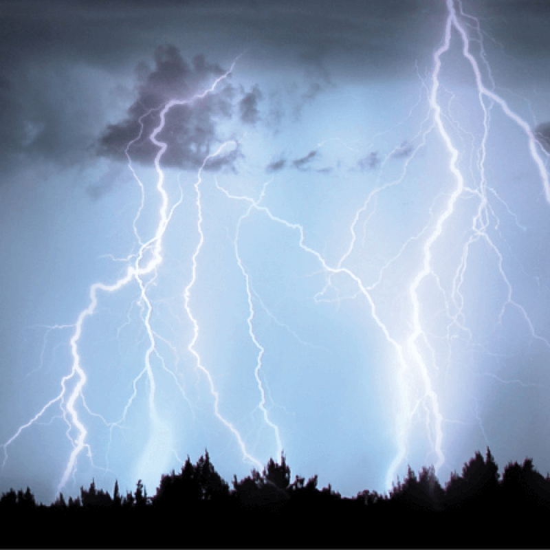 Bolts of lighting strike trees seen from a distance