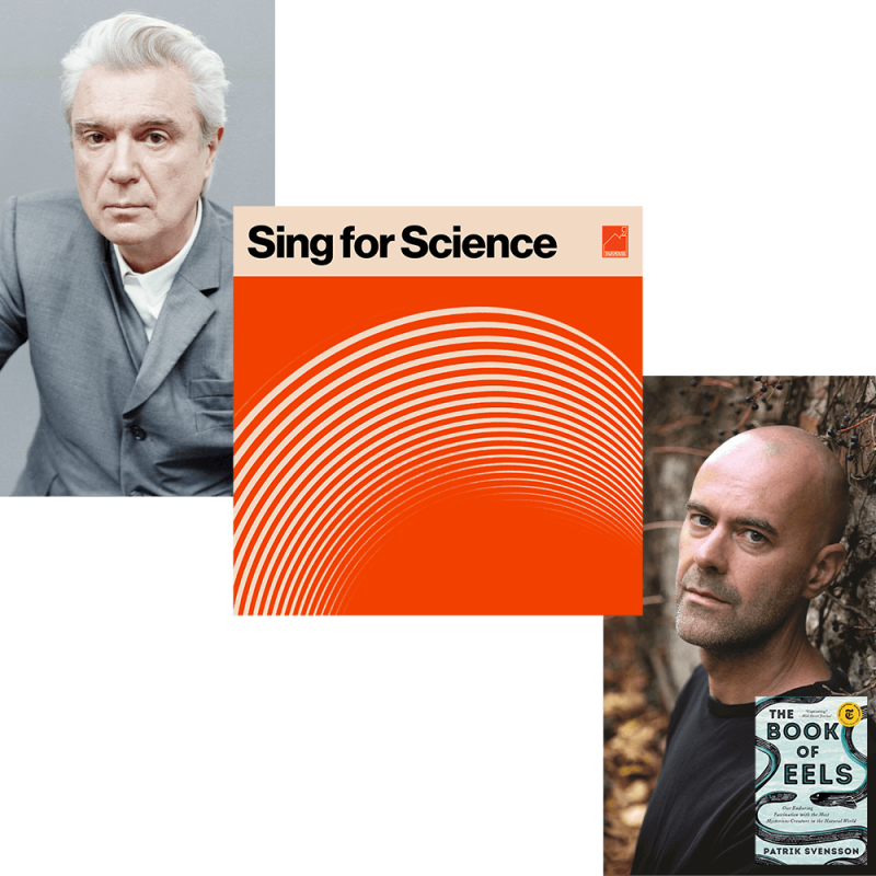 A collage with: the Sing for Science podcast logo, David Byrne, Byrne and author Patrik Svensson.