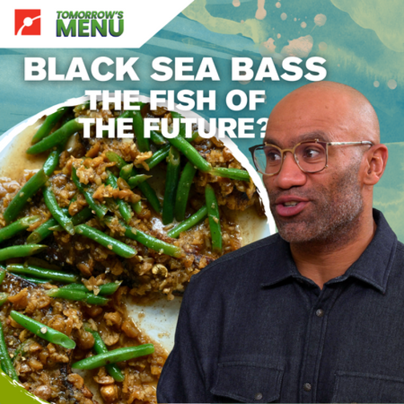 Douglass Williams with a picture of black sea bass with the text Black Sea Bass The Fish of the Future?