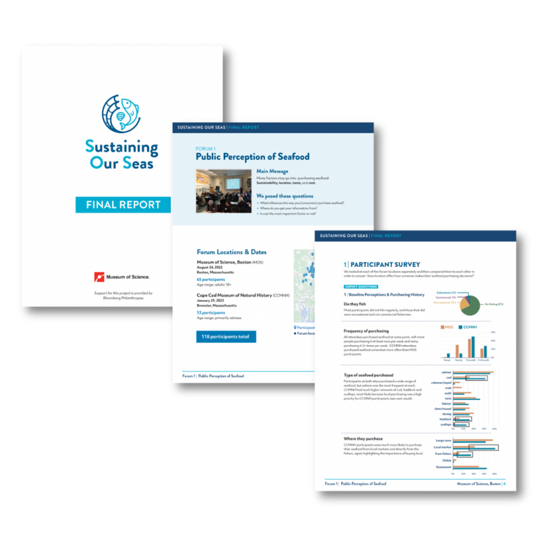 Preview of three pages from the final report 'Sustaining Our Seas